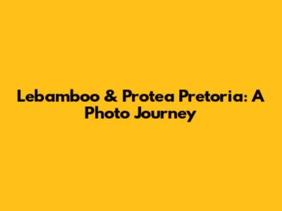 Lebamboo & Protea Pretoria: A Photo Journey