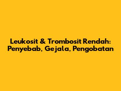 Leukosit & Trombosit Rendah: Penyebab, Gejala, Pengobatan