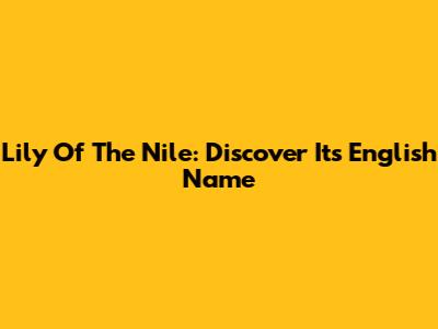 Lily Of The Nile: Discover Its English Name