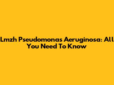Lmzh Pseudomonas Aeruginosa: All You Need To Know