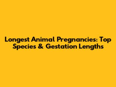 Longest Animal Pregnancies: Top Species & Gestation Lengths