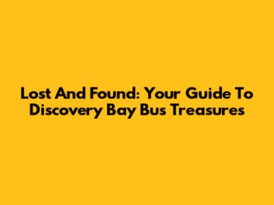 Lost And Found: Your Guide To Discovery Bay Bus Treasures