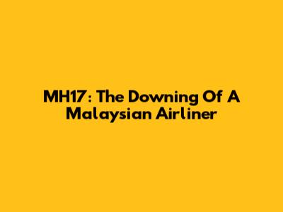 MH17: The Downing Of A Malaysian Airliner