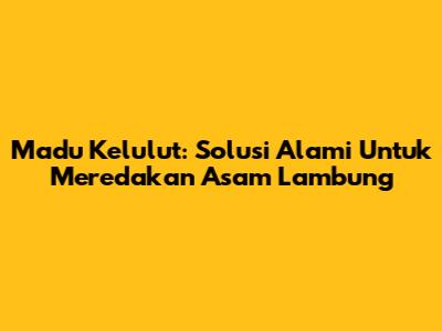 Madu Kelulut: Solusi Alami Untuk Meredakan Asam Lambung