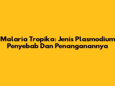 Malaria Tropika: Jenis Plasmodium Penyebab Dan Penanganannya