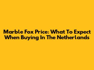 Marble Fox Price: What To Expect When Buying In The Netherlands