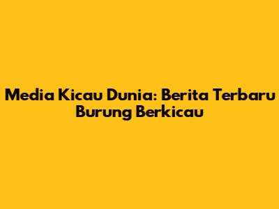 Media Kicau Dunia: Berita Terbaru Burung Berkicau