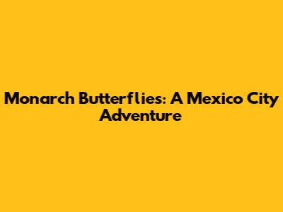 Monarch Butterflies: A Mexico City Adventure