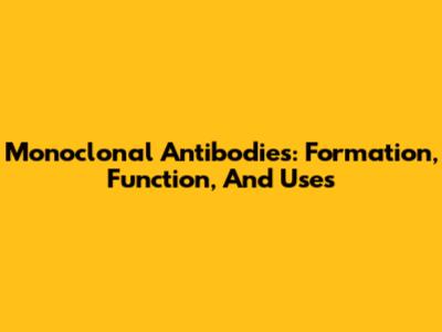 Monoclonal Antibodies: Formation, Function, And Uses