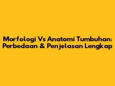 Morfologi Vs Anatomi Tumbuhan: Perbedaan & Penjelasan Lengkap