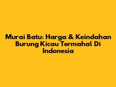 Murai Batu: Harga & Keindahan Burung Kicau Termahal Di Indonesia