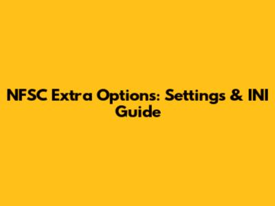 NFSC Extra Options: Settings & INI Guide