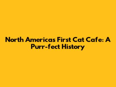 North America's First Cat Cafe: A Purr-fect History