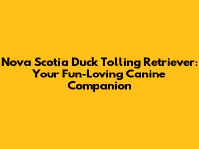 Nova Scotia Duck Tolling Retriever: Your Fun-Loving Canine Companion