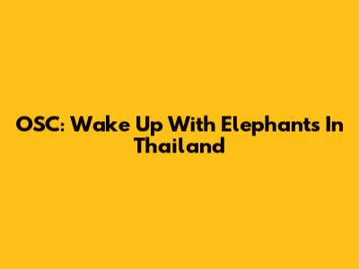 OSC: Wake Up With Elephants In Thailand