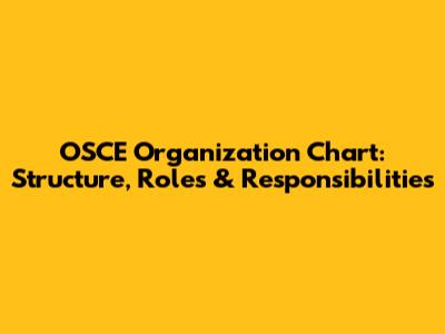 OSCE Organization Chart: Structure, Roles & Responsibilities