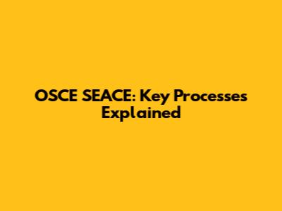 OSCE SEACE: Key Processes Explained