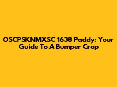 OSCPSKNMXSC 1638 Paddy: Your Guide To A Bumper Crop