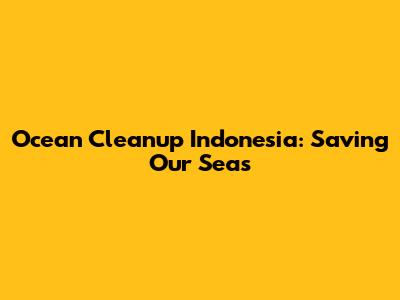 Ocean Cleanup Indonesia: Saving Our Seas