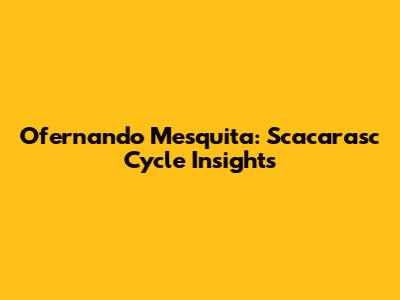 Ofernando Mesquita: Scacarasc Cycle Insights