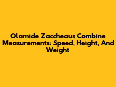 Olamide Zaccheaus Combine Measurements: Speed, Height, And Weight