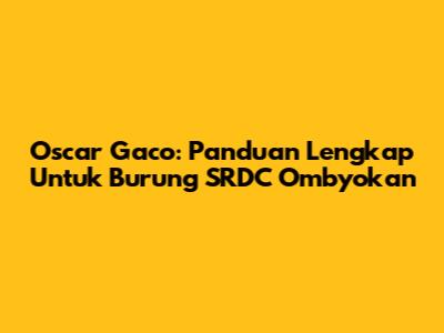 Oscar Gaco: Panduan Lengkap Untuk Burung SRDC Ombyokan