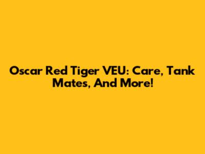Oscar Red Tiger VEU: Care, Tank Mates, And More!