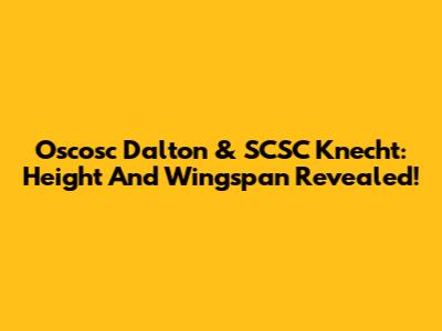 Oscosc Dalton & SCSC Knecht: Height And Wingspan Revealed!
