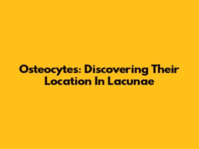Osteocytes: Discovering Their Location In Lacunae