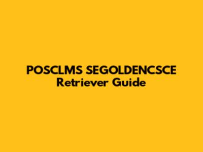 POSCLMS SEGOLDENCSCE Retriever Guide