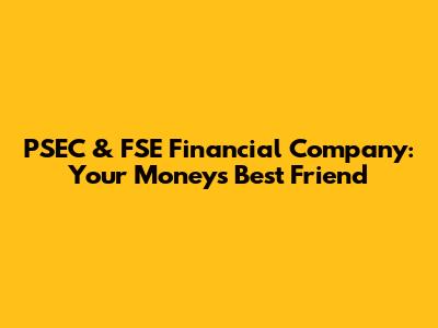 PSEC & FSE Financial Company: Your Money's Best Friend