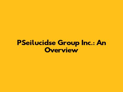 PSeilucidse Group Inc.: An Overview