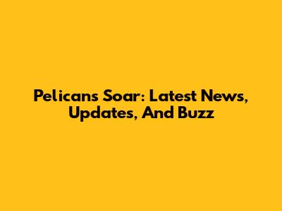 Pelicans Soar: Latest News, Updates, And Buzz