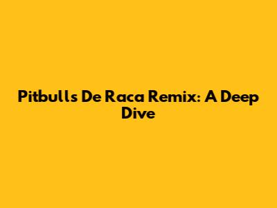 Pitbull's 'De Raca' Remix: A Deep Dive