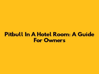 Pitbull In A Hotel Room: A Guide For Owners