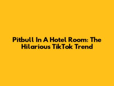 Pitbull In A Hotel Room: The Hilarious TikTok Trend