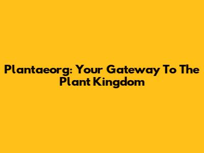 Plantaeorg: Your Gateway To The Plant Kingdom