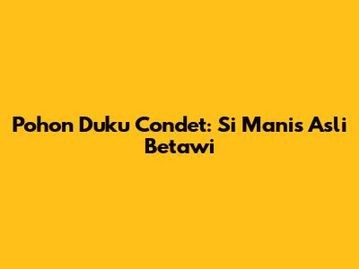 Pohon Duku Condet: Si Manis Asli Betawi