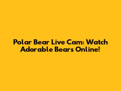 Polar Bear Live Cam: Watch Adorable Bears Online!