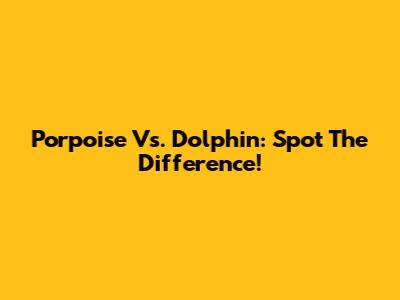Porpoise Vs. Dolphin: Spot The Difference!