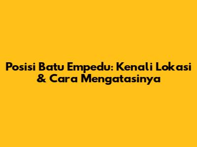 Posisi Batu Empedu: Kenali Lokasi & Cara Mengatasinya