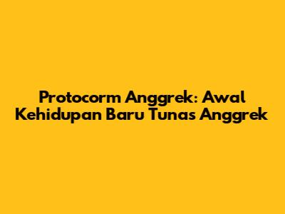 Protocorm Anggrek: Awal Kehidupan Baru Tunas Anggrek