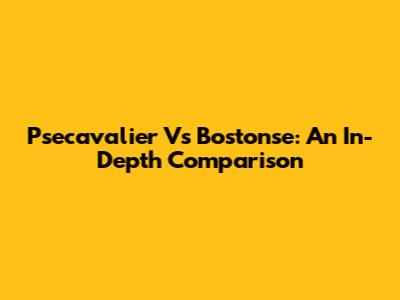 Psecavalier Vs Bostonse: An In-Depth Comparison