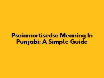 Pseiamortisedse Meaning In Punjabi: A Simple Guide