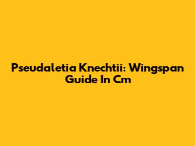 Pseudaletia Knechtii: Wingspan Guide In Cm