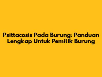 Psittacosis Pada Burung: Panduan Lengkap Untuk Pemilik Burung