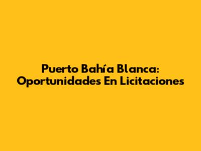 Puerto Bahía Blanca: Oportunidades En Licitaciones