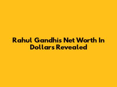 Rahul Gandhi's Net Worth In Dollars Revealed