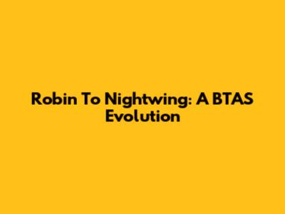 Robin To Nightwing: A BTAS Evolution