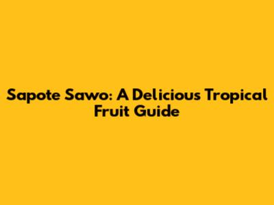Sapote Sawo: A Delicious Tropical Fruit Guide